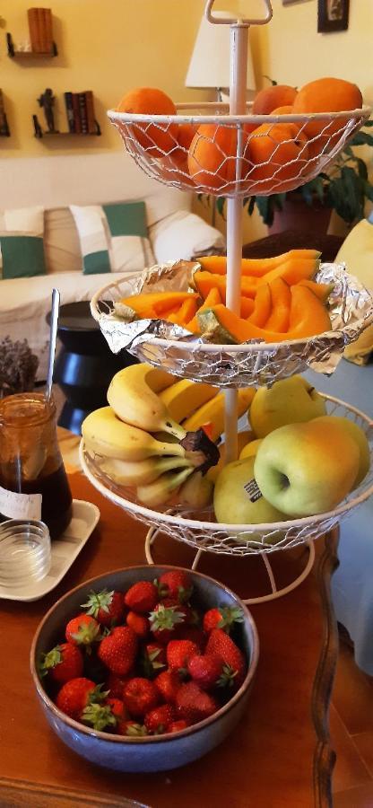 Hotel Le Siecle Mazan Eksteriør bilde